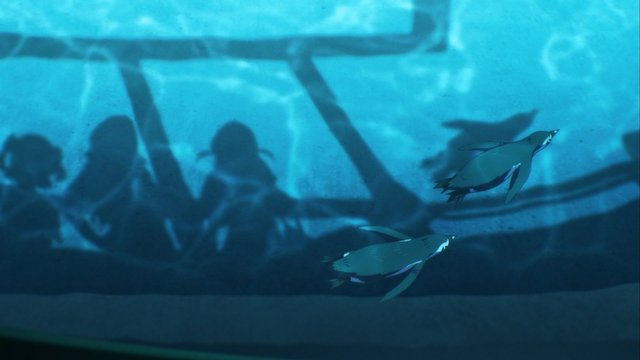 Nogeyama Zoo Penguin Area